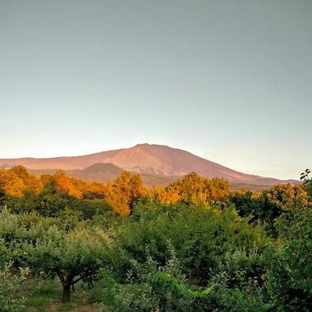 Mount Etna Chalet Maletto Exterior foto