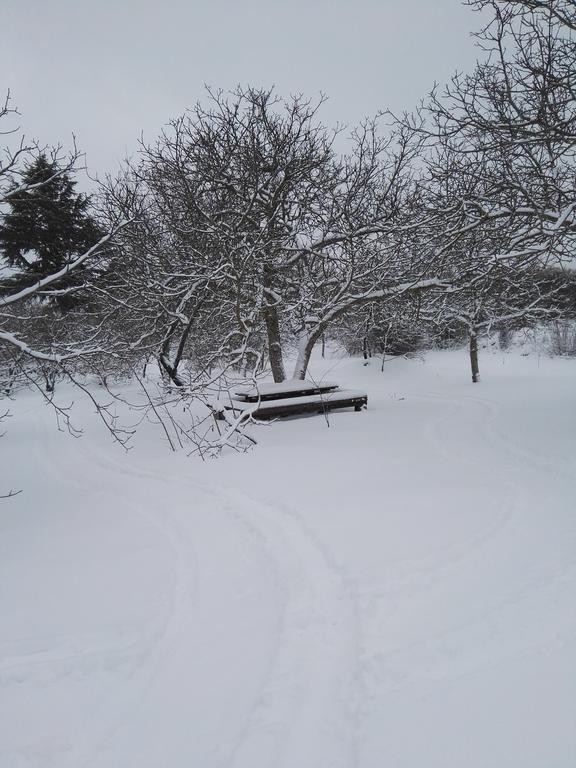 Mount Etna Chalet Maletto Exterior foto
